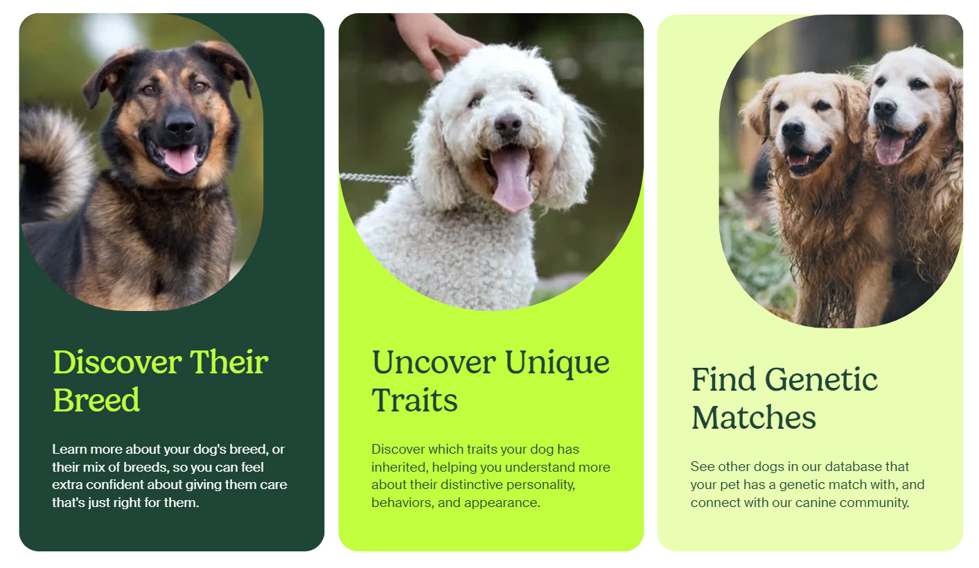 Ancestry Launches Know Your Pet DNA: Your dog's story told through their DNA. 